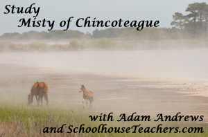 Chincoteague Pony and Foal