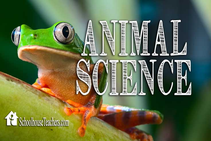 Animal Science | SchoolhouseTeachers.com