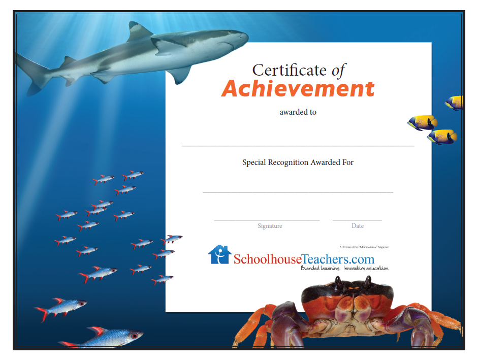 Certificate Library Awards On SchoolhouseTeachers