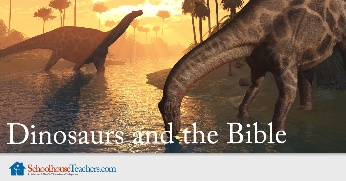 dinosaurs in the bible job