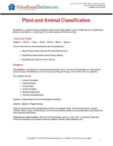 Help Chart - Plant and Animal Classification 3-12-26