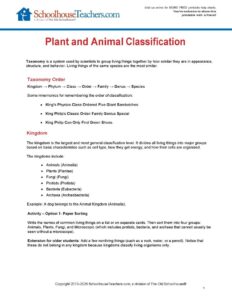 Help Charts - Blog - Plant and Animal Classification Image 3-24-26