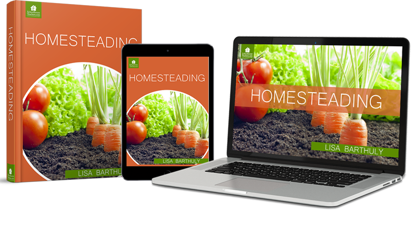 homesteading course