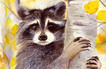 Nature Outdoors Image 3-10-26