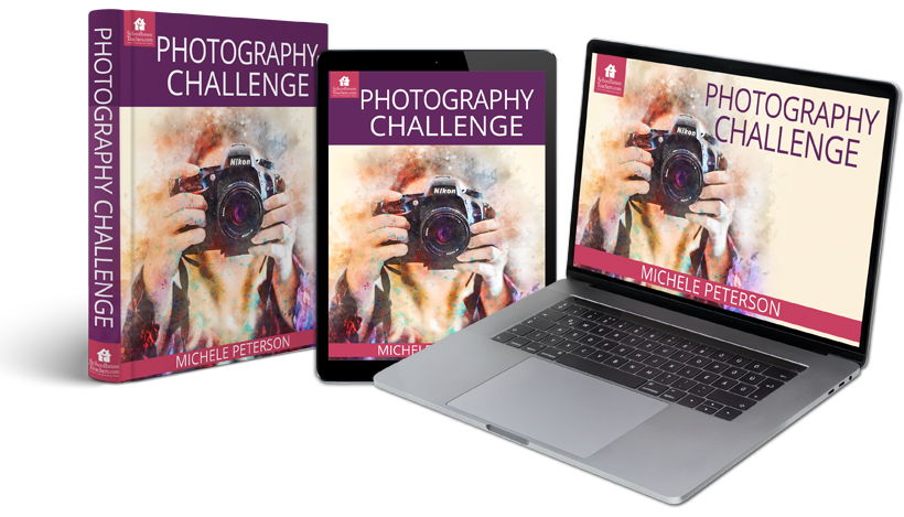 digitial photography curriculum