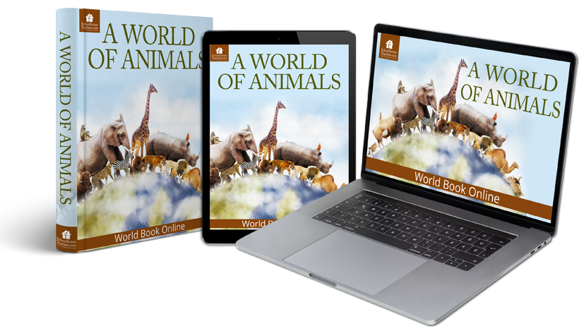 A World of Animals Homeschool Science