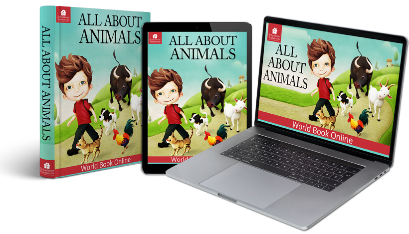All About Animals Homeschool Science