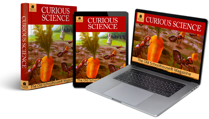 Curious Science Homeschool Course