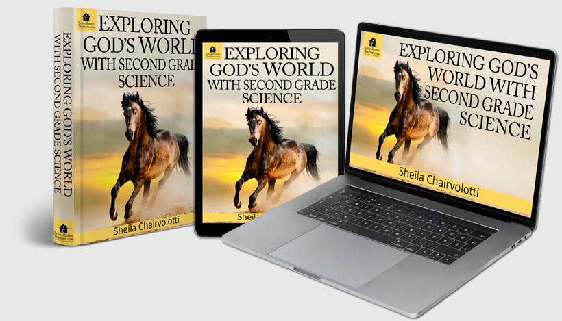 ST-Science-Exploring-Gods-World-with-Second-Grade-Science-SET-820x469-graybg
