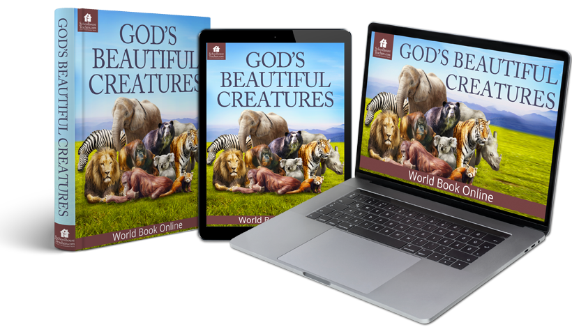 God's Beautiful Creatures Homeschool Science