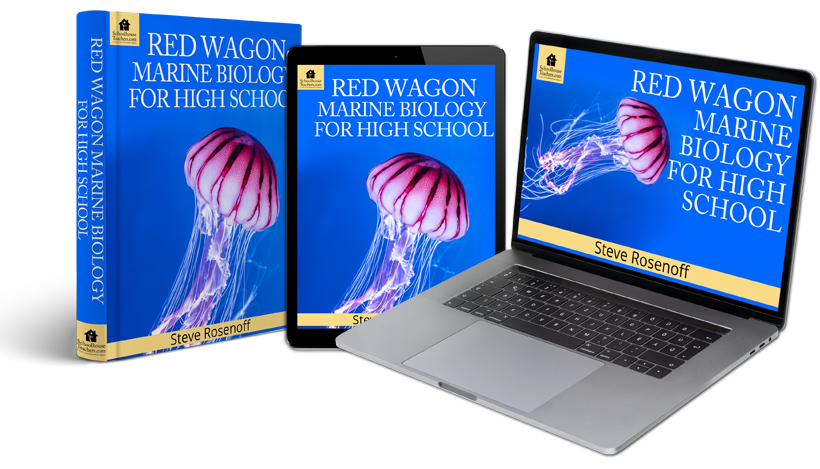 red wagon marine biology for high school