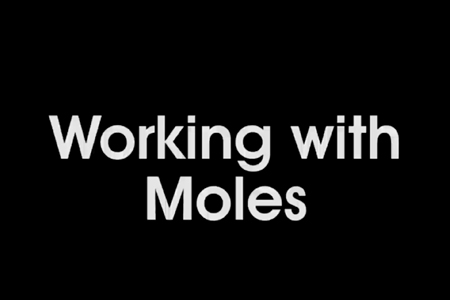 Advanced Chemistry: Working with Moles