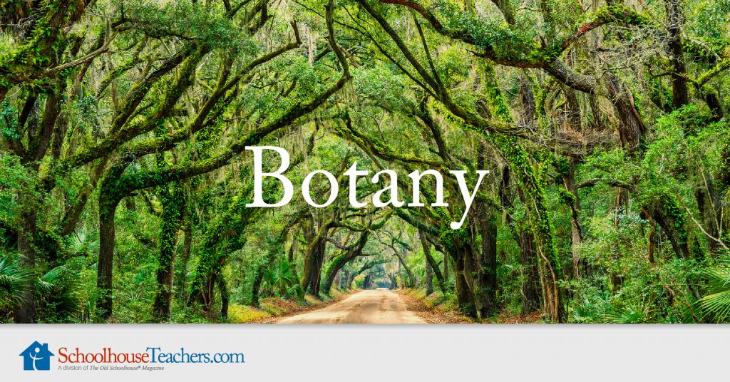 Botany Homeschool Science Course Schoolhouse Teachers