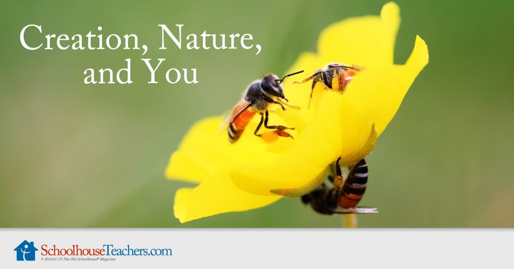 Our Creation, Nature, and You Homeschool Science Course