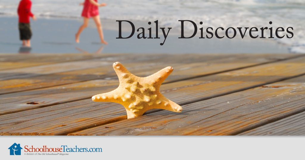 Daily Discoveries Homeschool Science Course SchoolhouseTeachers