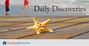 Daily Discoveries Homeschool Science
