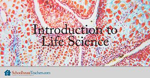 Introduction to Life Science Homeschool Course