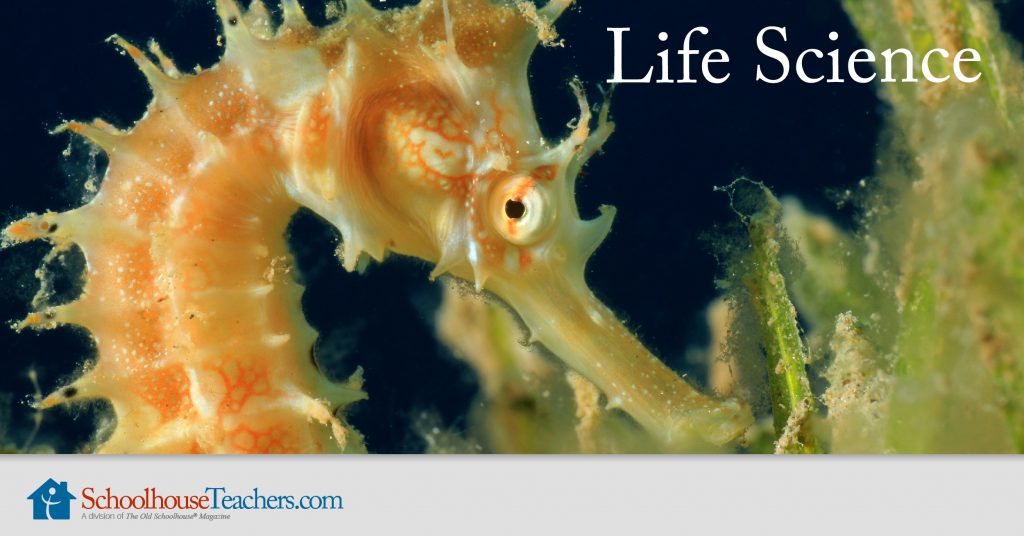 Life Science Homeschool Course - SchoolhouseTeachers.com