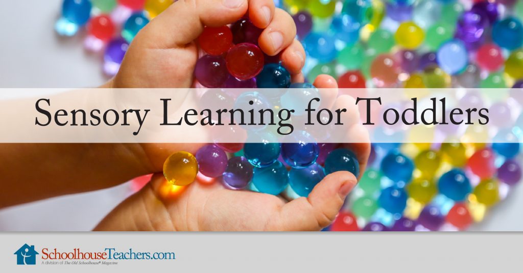 Sensory Learning for Toddlers Homeschool Language Arts Course