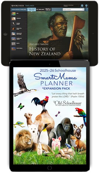 st-lifetime-membership-page-planner-wb-timeline